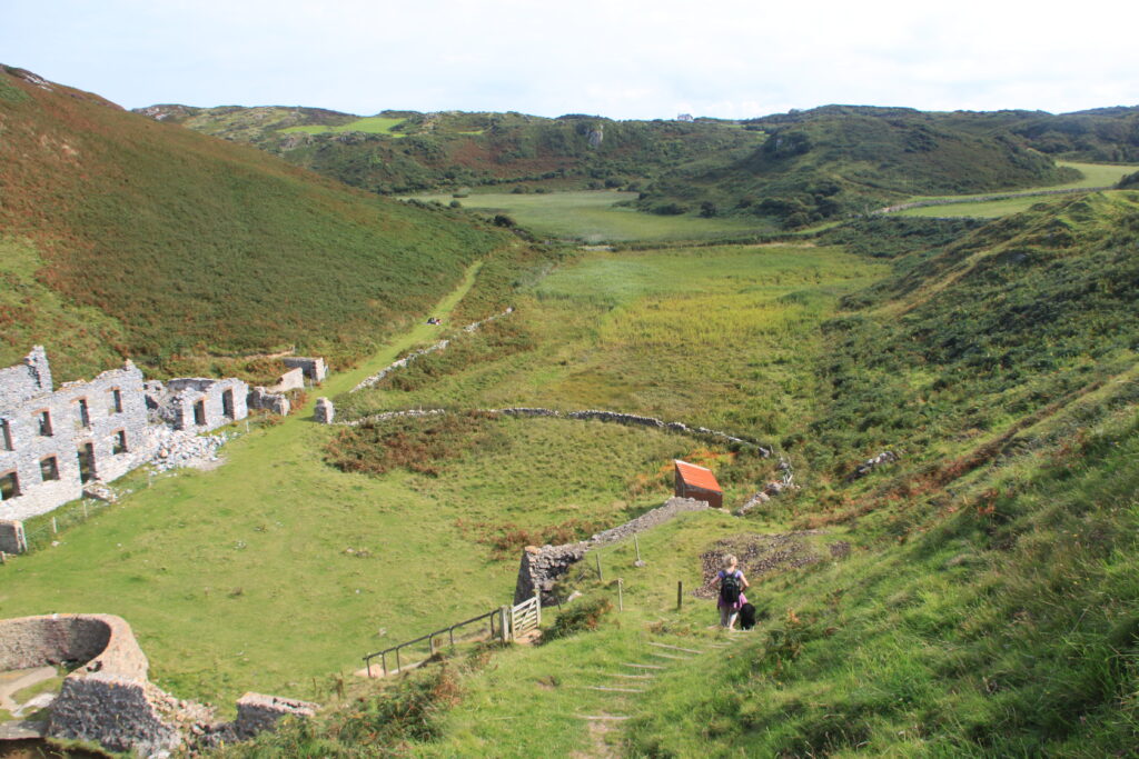 Llanlleiana porcelain works (J Conway)